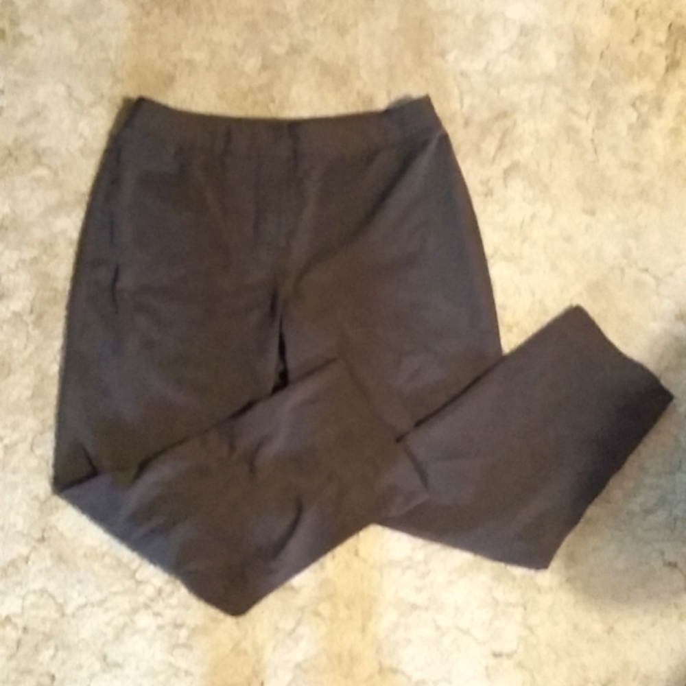 Size 16 Brown Dress Pants
